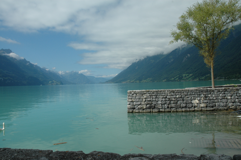 lac_interlaken.jpg