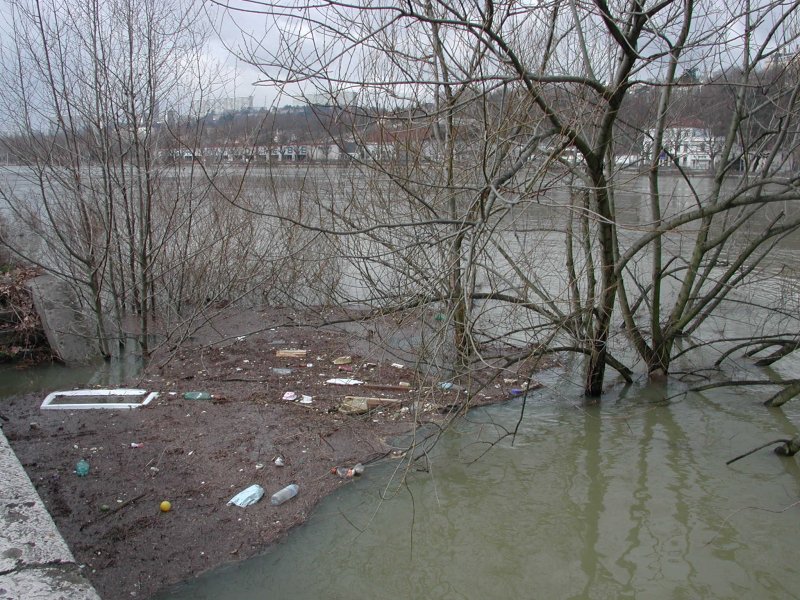 saone_polluee.jpg